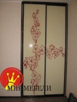 Шкаф - купе Стекло крашенное с рисунком