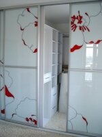 Шкаф-купе с наполнение лкобель с рисунком